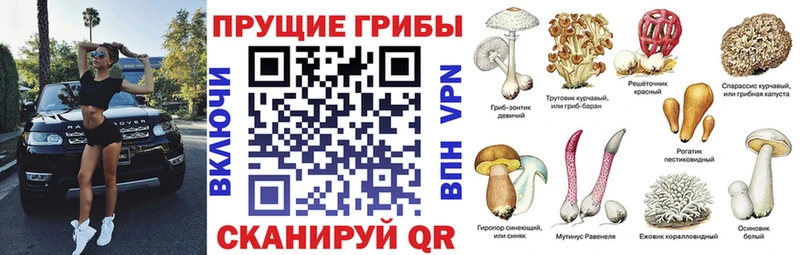 Псилоцибиновые грибы Magic Shrooms blacksprut онион Шарья